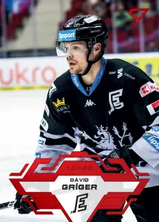 Gríger Dávid SportZoo Tipsport 2023-24 I.série Goal Light 1of60 č.155