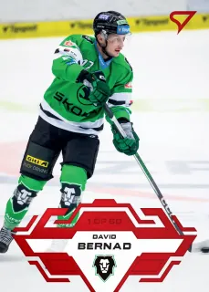 Bernad David SportZoo Tipsport 2023-24 I.série Goal Light 1of60 č.165
