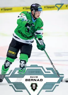 Bernad David SportZoo Tipsport 2023-24 I.série Ice Reflection 1of95 č.165