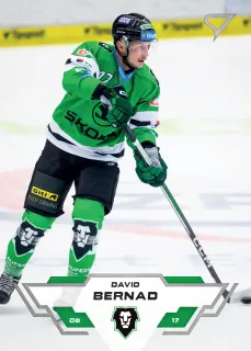 Bernad David SportZoo Tipsport 2023-24 I.série Řadovek č.165