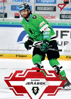 Jeřábek Radek SportZoo Tipsport 2023-24 I.série Goal Light 1of60 č.167