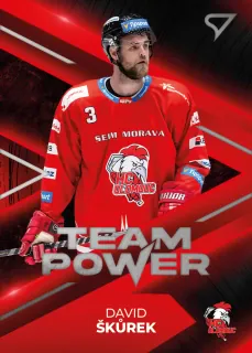Škůrek David SportZoo Tipsport 2023-24 I.série Team Power č.TP-22
