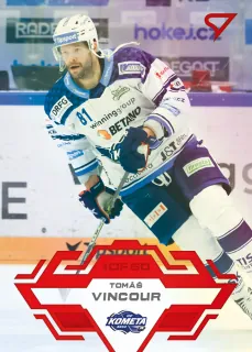 Vincour Tomáš SportZoo Tipsport 2023-24 II.série Goal Light 1of60 č.310