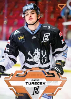 Tureček David SportZoo Tipsport 2023-24 II.série Blade Sparks 1of25 č.324