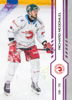 Nedomlel Richard SportZoo Tipsport 2024-25 I.série Purple Iceberg /60 č.7