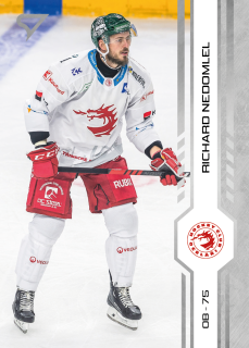Nedomlel Richard SportZoo Tipsport 2024-25 I.série Řadovka č.7