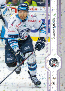 Musil Adam SportZoo Tipsport 2024-25 I.série Puck Marks (fialové) č.122