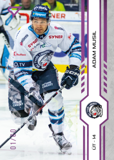 Musil Adam SportZoo Tipsport 2024-25 I.série Purple Iceberg /60 č.122