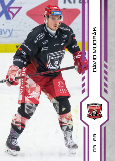 Mudrák Dávid SportZoo Tipsport 2024-25 I.série Purple Iceberg /60 č.134