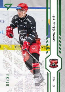 Šťastný David SportZoo Tipsport 2024-25 I.série Green Glitter /30 č.143