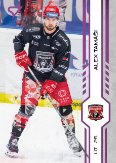 Tamáši Alex SportZoo Tipsport 2024-25 I.série Purple Iceberg /60 č.144