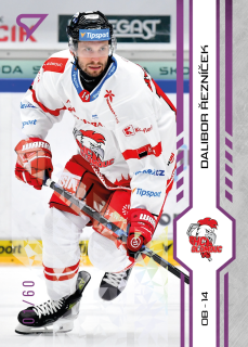 Řezníček Dalibor SportZoo Tipsport 2024-25 I.série Purple Iceberg /60 č.169