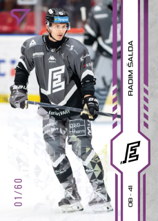 Šalda Radim SportZoo Tipsport 2024-25 I.série Purple Iceberg /60 č.189