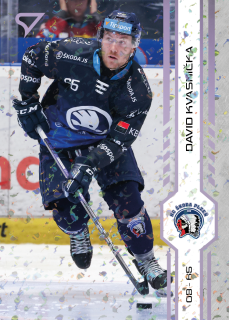 Kvasnička David SportZoo Tipsport 2024-25 I.série Puck Marks (fialové) č.202