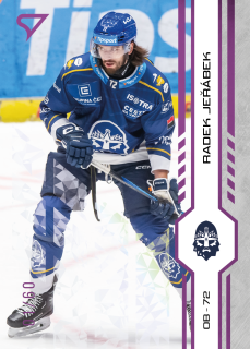 Jeřábek Radek SportZoo Tipsport 2024-25 I.série Purple Iceberg /60 č.238