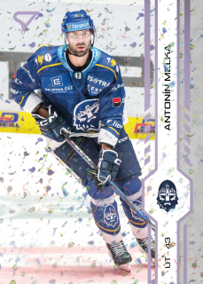 Melka Antonín SportZoo Tipsport 2024-25 I.série Puck Marks (fialové) č.247