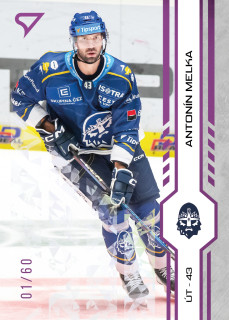 Melka Antonín SportZoo Tipsport 2024-25 I.série Purple Iceberg /60 č.247