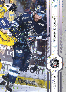 Adam Dlouhý  SportZoo Play Off 2025 Puck Marks (fialová) č.407