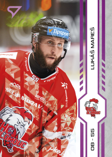 Lukáš Mareš  SportZoo Play Off 2025 Purple Iceberg x/60 č.429