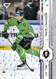 Matěj Gardoň  SportZoo Play Off 2025 Puck Marks (fialová) č.444