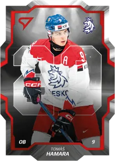 Hamara Tomáš SportZoo ČR Reprezentace 2024 Team 20 č.CD-08