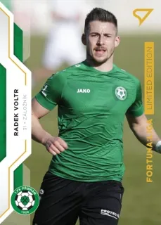 Radek Voltr SportZoo 2020-21 II.série Gold /99 č.232