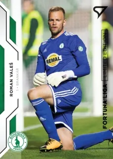 Roman Valeš SportZoo 2020-21 II.série Black /19 č.244