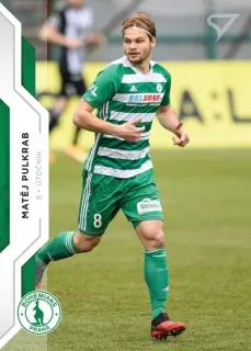 Matěj Pulkrab SportZoo 2020-21 II.série č.252