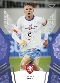 Zima David SportZoo Hrdí lvi 2024 Blue č.17