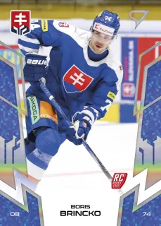 Brincko Boris SportZoo SR Reprezentace 2024 Blue č.8