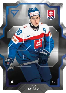 Mešár Filip SportZoo SR Reprezentace 2024 Team 20 č.SD-11