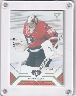 Gajan Matej SportZoo Tipos extraliga 2020-21 Gold /19 č.1