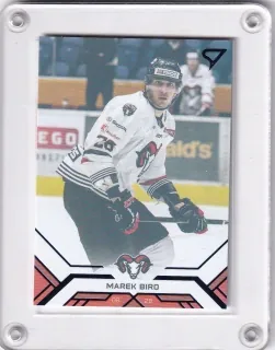 Biro Marek SportZoo Tipos extraliga 2020-21 Blue /199 č.3