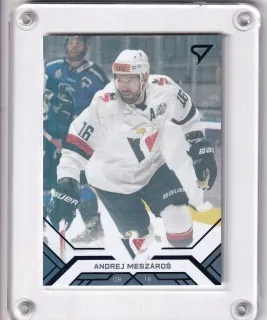 Meszároš Andrej SportZoo Tipos extraliga 2020-21 Blue /199 č.23