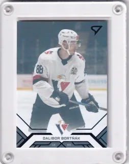 Bortňák Dalibor SportZoo Tipos extraliga 2020-21 Blue /199 č.27