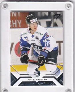 Paločko Matej SportZoo Tipos extraliga 2020-21  č.66