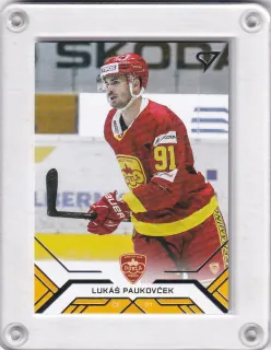 Paukovček Lukáš SportZoo Tipos extraliga 2020-21  č.86