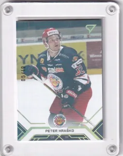 Hraško Peter SportZoo Tipos extraliga 2020-21 Gold /19 č.96