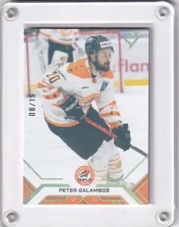 Galamboš Peter SportZoo Tipos extraliga 2020-21 Gold /19 č.117