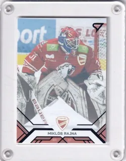 Rajna Miklós SportZoo Tipos extraliga 2020-21 Blue /199 č.127