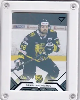 Gachulinec Daniel SportZoo Tipos extraliga 2020-21 Blue /199 č.183