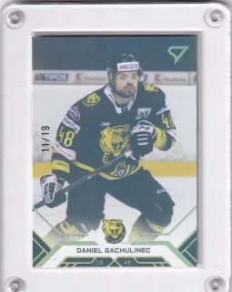 Gachulinec Daniel SportZoo Tipos extraliga 2020-21 Gold /19 č.183