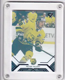 Valent Peter SportZoo Tipos extraliga 2020-21 Blue /199 č.197