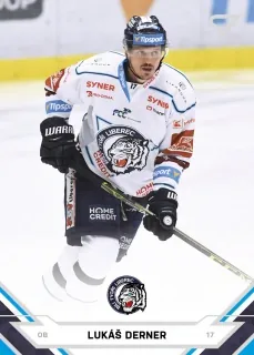Derner Lukáš SportZoo ELH 2021-22 č.21