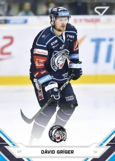Gríger Dávid SportZoo ELH 2021-22 č.30
