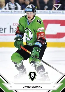 Bernad David SportZoo ELH 2021-22  č.57