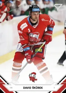 Škůrek David SportZoo ELH 2021-22 č.133