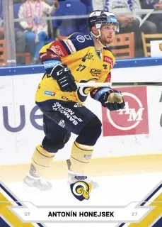 Honejsek Antonín SportZoo ELH 2021-22 č.227