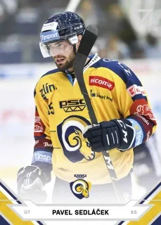 Sedláček Pavel SportZoo ELH 2021-22 č.232