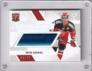 Koukal Petr SportZoo ELH 2021-22 Flaming Stick /35 č.FS-KO